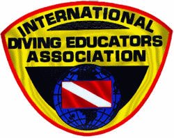 IDEA Logo.