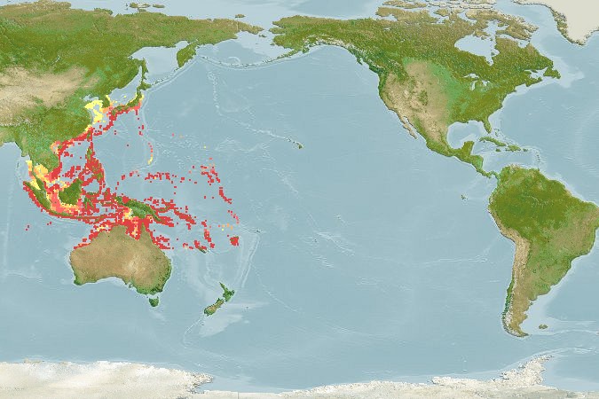 Lionfish origins Map
