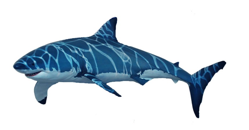 Shark