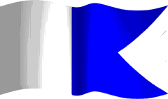 Diving Flag Animated